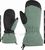 dusty green (741)