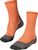 amber (5681) (5681)