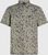 green seagrass (36072)