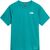 restorative teal (N5W)