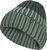 sago palm (E0271)
