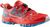 hibiscus/malibu blue (P02B02)