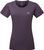 nightshade (Me-01399)