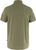 light olive (622)