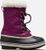 wild iris dark plum (594)