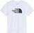 tnf white (FN4)