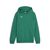 sport green-puma white (05)