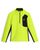 lime (LIM)