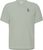 spray grey (8243)