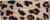 brown (09)