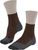 chestnut (5534)