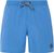 gladio blue (909)