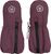 catawba grape (4953)