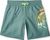 north atlantic circle surfer gradient (35103)