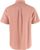 dusty rose (300)
