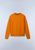 orange pumpkin a68 (A68)