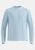 baby blue (20386)