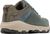 sedona sage, ancient fossil (342)