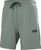 grey cactus (485)
