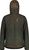 alpine woods (8958)