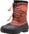 iron oxide / ginger biscui (301)