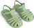pistachio (2603)