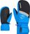 persian blue (798)