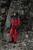 red alert (4328)