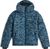 blue swirl zebra (35226)