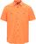 orange sorbet (007)