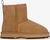 chestnut/black (CHEB)