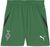 archive green-puma black (04)
