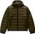 olive night g1f (G1F)