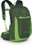 green canopy (1090)