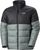 grey cactus (485)