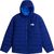bold blue (NLV)