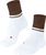 chestnut (5534)