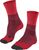 merlot (8117) (8117)