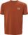 iron oxide (300)