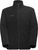 black (0001)