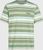 green bold stripes (36056)