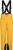golden mango tex (667)