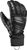 black (1)