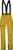 golden palm (E44)