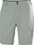 grey cactus (485)