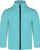 turquoise (730)