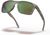 woodgrain/prizm shallow water polar (9102J8)