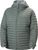 grey cactus (485)