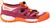 water lily (2303)