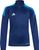 dark blue-bright royal-white (043A)